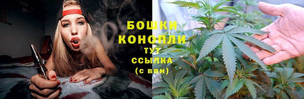 ГАЛЛЮЦИНОГЕННЫЕ ГРИБЫ Осташков