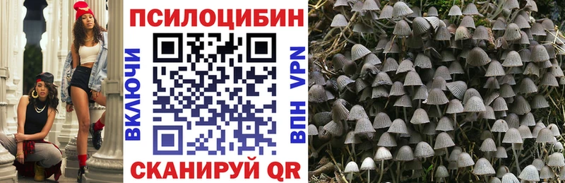 Псилоцибиновые грибы Magic Shrooms  цены наркотик  Томмот 